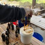 Free Orcas Island Distillery Sanitizer available