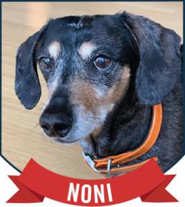 In memory of Noni- honorary Eastsound Mayor