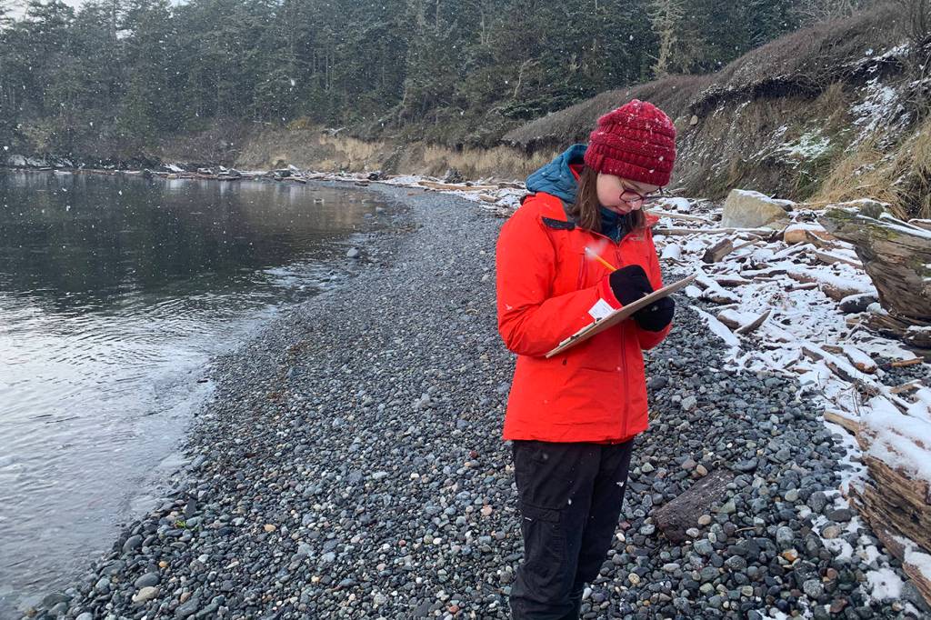 Good news — new forage fish spawning beaches found