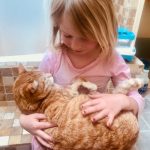 Finding your ‘furever’ home during a pandemic