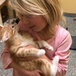 Finding your ‘furever’ home during a pandemic