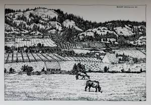 Orcas High School seniors give back to community with final projects