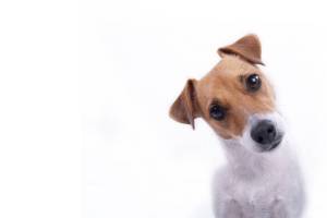 Communicating with our faces covered