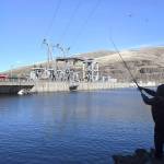 A man fishes for salmon on the Snake River above the Lower Granite Dam in Washington state in October, 2016. (Jesse Tinsley / The Spokesman-Review via AP file)