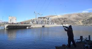 A man fishes for salmon on the Snake River above the Lower Granite Dam in Washington state in October, 2016. (Jesse Tinsley / The Spokesman-Review via AP file)