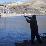 Debate regarding Snake River dams is far from over | Editorial
