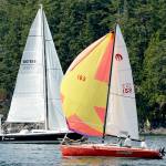 Un-Shaw Island Sailboat Race