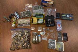 Sucia assists in drug bust