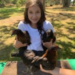 4-H’ers live up to “Learn by Doing” slogan at first ever virtual Fair