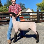 4-H’ers live up to “Learn by Doing” slogan at first ever virtual Fair