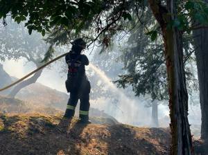 Another wildland fire response keeps Orcas Fire busy