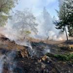 Another wildland fire response keeps Orcas Fire busy
