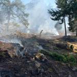 Another wildland fire response keeps Orcas Fire busy
