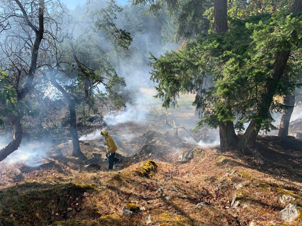 Another wildland fire response keeps Orcas Fire busy