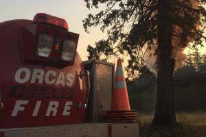 Small brushfire on Seaview Street