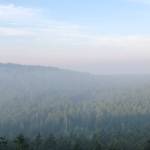 A smoky view from atop Mount Grant. (Emillie Novak/staff photo)