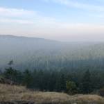 A smoky view from atop Mount Grant. (Emillie Novak/staff photo)