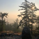 A smoky view from atop Mount Grant. (Emillie Novak/staff photo)