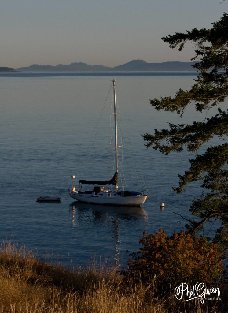 (Phil Green Photography/contributed photo)