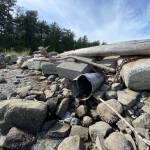 Salmon habitat restored on Sucia Island