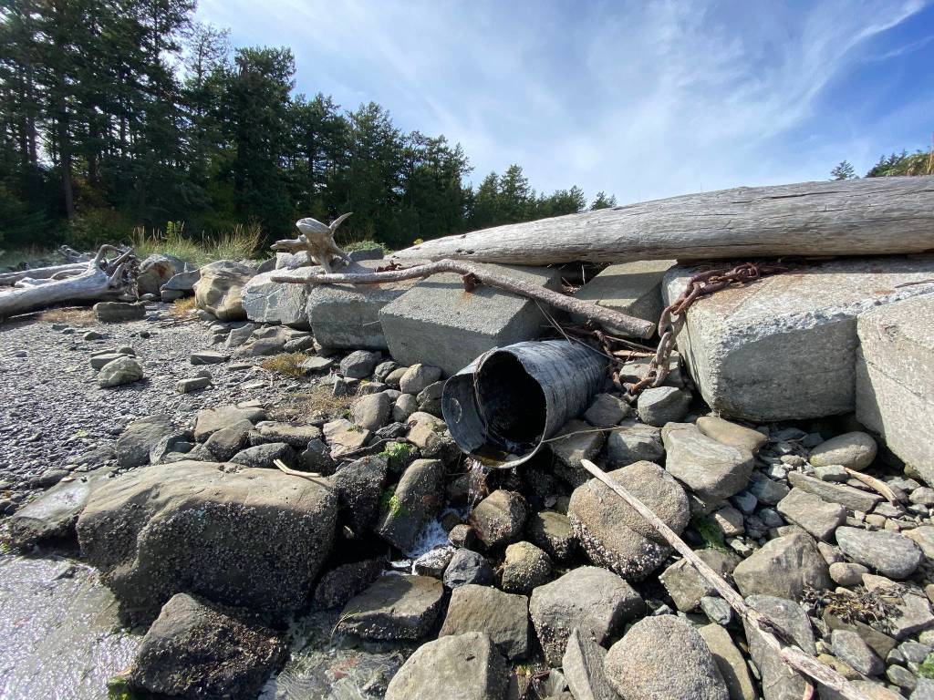 Salmon habitat restored on Sucia Island