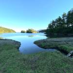 Salmon habitat restored on Sucia Island