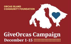 Give Orcas 2020
