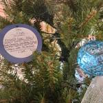 Mandi Johnson/staff photo