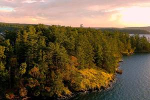 Contributed photo
Reef Island.