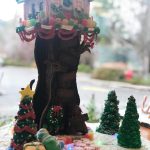 Colleen Smith/staff photo
Teen technical winner Sofia Mahony-Jauregui.