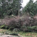 (Orcas Power and Light Cooperative photo)