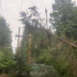 (Orcas Power and Light Cooperative photo)