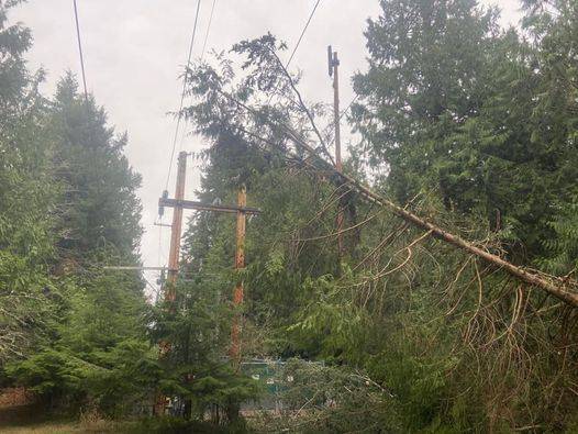 (Orcas Power and Light Cooperative photo)