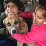 Hocus with his new siblings, Juan and Amara.