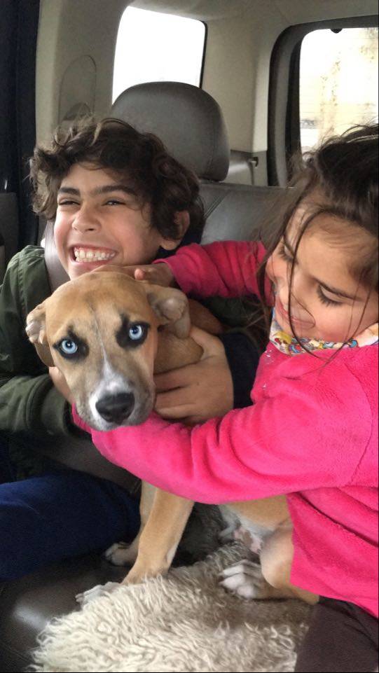 Hocus with his new siblings, Juan and Amara.