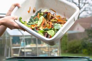 metro creative stock