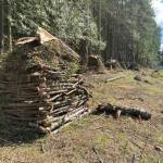Neatly stacked brush piles line Orcas Road along Barb and Sam Pesola's property awaiting burning. (Contributed photo)