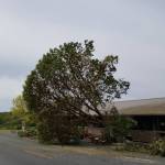 Contributed photo/Madrona falls
