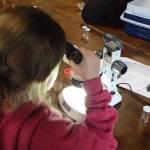 Contributed photo
A young scientist in one of the 2019 events.