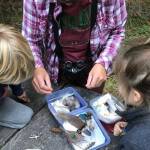 Contributed photo
Participants in one of the 2019 Walks and Talks.