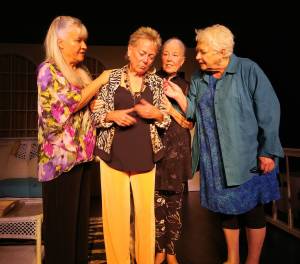 Doug Bechtel photo
Left to right: Melinda Milligan, Suzanne Gropper, Dorrie Braun and Diane Craig.