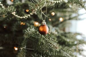 Photo by Sandra Seitamaa on Unsplash