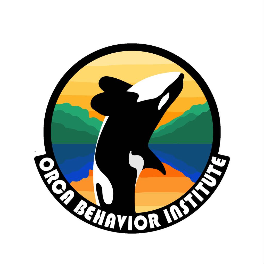 Learn about orca whale behavior online, Jan. 19.