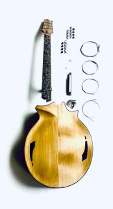 Contributed photo/Jesse Berube
Iroko Multiscale Mandocello