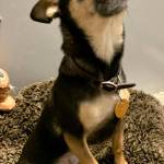 Contributed photo
Matilda.