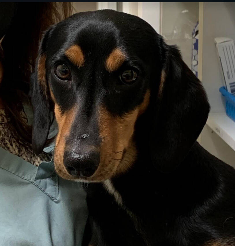 Contributed photo
Vinnie