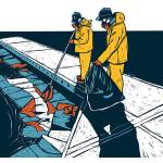 Islands Oil Spill Association/Contributed image