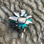 Contributed photo
Debris found on Cresent Beach