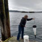 Contributed photo
Lynette Wood collecting a sample from the Glenwood Springs site.