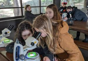 Contributed photo
The 3rd and 4th grade students from Orcas Island Elementary School have been busy learning about the Ecology and Geology of their local surroundings.